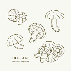 Set of line art shiitake mushrooms
