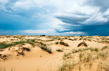 Fototapeta na wymiar Oleshky Sands is a desert in Ukraine.