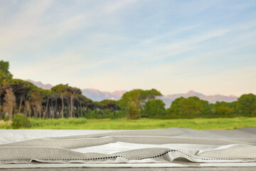 Fototapeta premium Desk of free space and summer landscape 