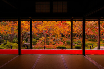 秋の京都、圓光寺の紅葉