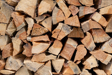 stocks of timber for the winter stacked