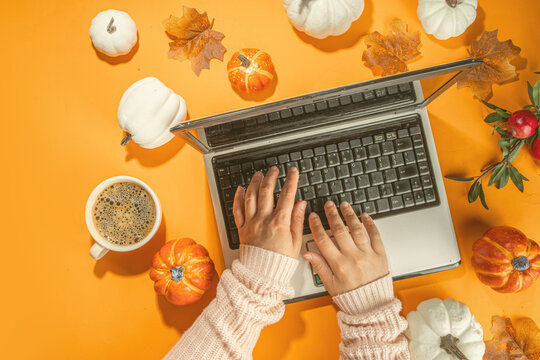 Autumn Office Work, Education Flatlay Top View Copy Space. Cozy Fall Background With Laptop, White And Orange Pumpkins, Autumn Leaves Decor. Woman Person Hands Using A Laptop Computer From Above