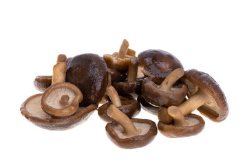 boiled shiitake isolated
