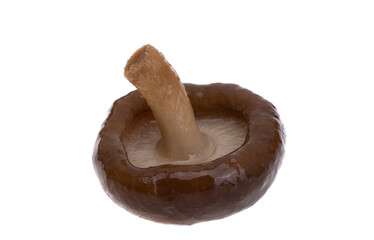 boiled shiitake isolated