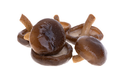 boiled shiitake isolated