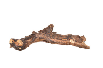 tree bark isolated on white background