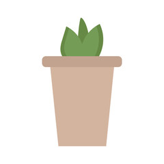 Pot with flat-style aloe plant on white background