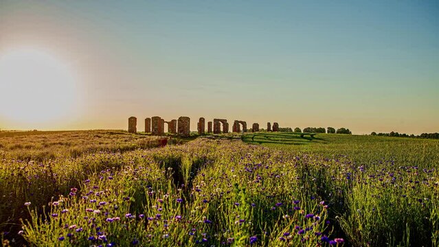 Beautiful cereal field at sunset with a huge stone house in the middle of the field. Tourists going upto Smiltene stonehenge, Latvia during evening time.