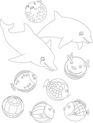 Vector coloring book for children. Dolphins