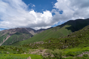 Landscape of high green mountains