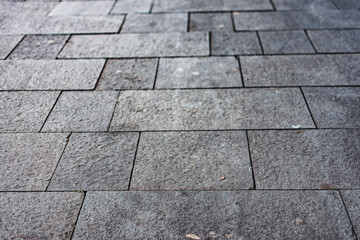 Wet cobblestone pavement of a restored sidewalk or path in an old town. Urban backdrop