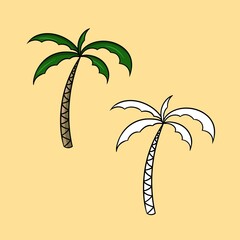 A set of pictures, a tall palm tree with green leaves, a vector cartoon illustration