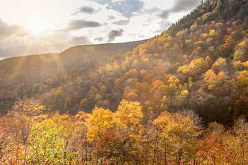 Obraz premium Fall in New England, vibrant autumnal colors in Maine