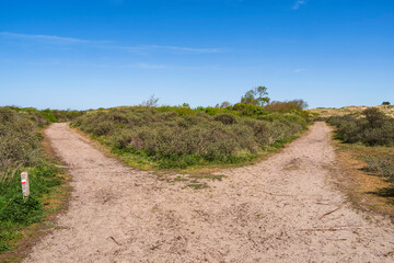 Fototapeta na wymiar Crossroads in the nature reserve of the dune landscape of Egmond aan Zee/Netherlands