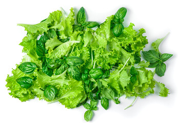 Obraz premium Lettuce and basil leaves isolated on a white background. View from above.