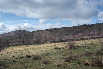 Grazing meadows in Guadarrama Mountains, municipality of Horcajuelo de la Sierra, province of Madrid, Spain