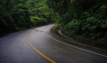 Fototapeta na wymiar Mountain Road in tropical Forest 