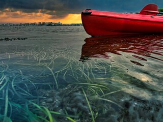A lone red canoe upon a sea of seaweed, with a stormy yellow sky in the background.