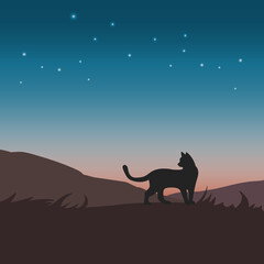 Landscape with cat on hill background. Vector illustration.