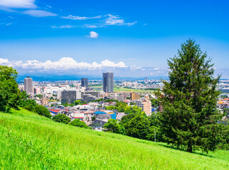 青空が広がる郊外の住宅地
