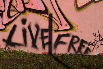 Fototapeta premium Live free painted on a wall