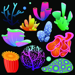 set of colorful marine objects. Bright corals and algae for decoration, needlework, creativity.