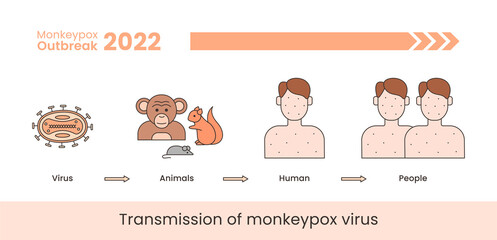 Fototapeta na wymiar Monkeypox virus transmission banner concept. Line illustration isolated on a white background.