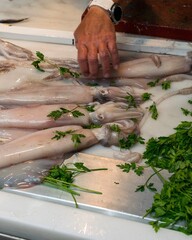 Squid