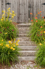 Yellow Flowers By The Steps