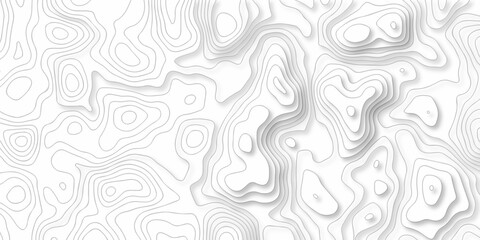 White wave paper curved reliefs abstract background, Abstract topographic contours map on concept of a conditional geography scheme and the terrain path. Dark on black, vector illustration.