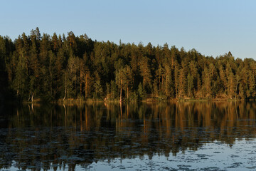 The concept of traveling in Russia. Quiet water surface and reflections of trees in river. Lake Yastrebinoe in summer at sunset Republic of Karelia.