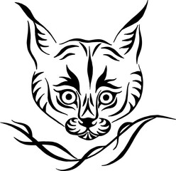 Head of a wild lynx. Drawing black and white vector of the head of a wild lynx puppy framed by an ornament. Vector illustration. Tattoo design.