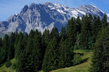 panorama of alpine peaks and  meadows in swiss alps