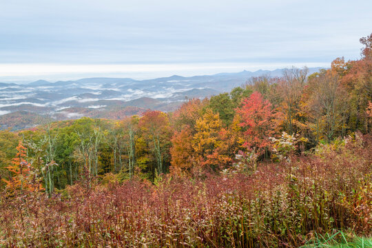 Autumn or fall colors looking down into Wilson Creek valley from parkway overlook over beautiful treetops into layers of mountain tops, fog moving between the peak’s shades of color horizontal photo 