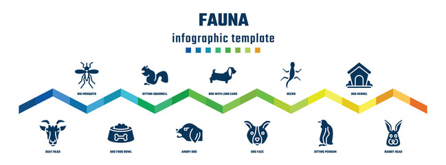 fauna concept infographic design template. included big mosquito, goat head, sitting squirrell, dog food bowl, dog with long ears, angry dog, gecko, face, kennel, rabbit head icons.