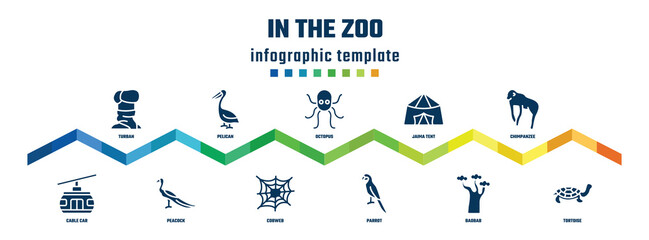 in the zoo concept infographic design template. included turban, cable car, pelican, peacock, octopus, cobweb, jaima tent, parrot, chimpanzee, tortoise icons.