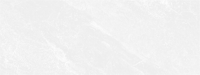 The concept of a conditional geography scheme and the terrain path. Background of the topographic map. Topographical background. Linear graphics. Vector illustration.	