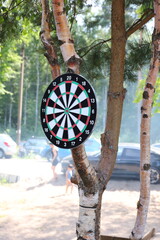 Photo of a dart board hanging from a tree