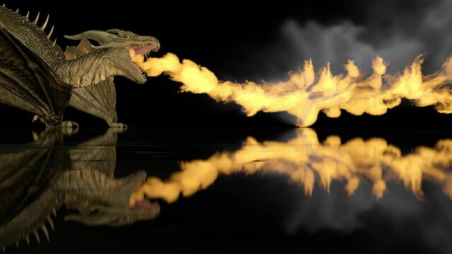 Realistic dragon breathes fire on a black background on a reflective surface.