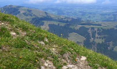 Fototapeta na wymiar Appenzell en juillet