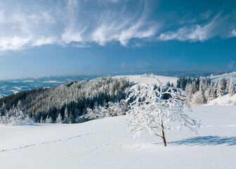 Winter mountain snowy landscape