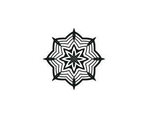 Mandala in ethnic style vector