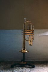 old trumpet © skone27