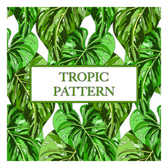 Tropical leaves wallpaper pattern. Seamless jungle design.
