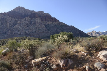 stunning red rock canyon landscape