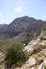 stunning red rock canyon landscape