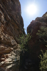 stunning red rock canyon landscape