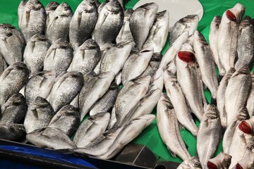 Obraz premium Fresh freshly caught fish at the Istanbul fish market stall