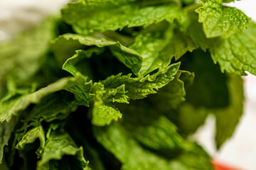 fern leaf with water drops