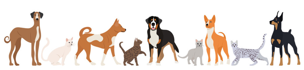 cats and dogs in flat style, isolated